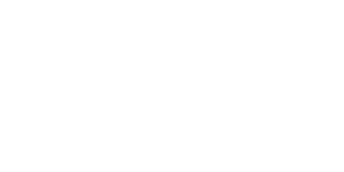 Came-logo-white
